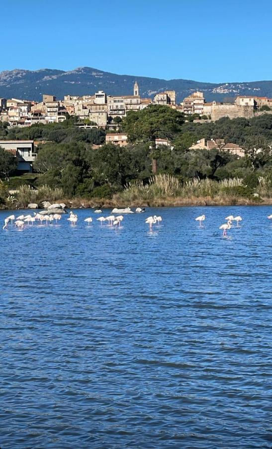 Apartamento Luxe Et Confort A Porto-Vecchio Exterior foto